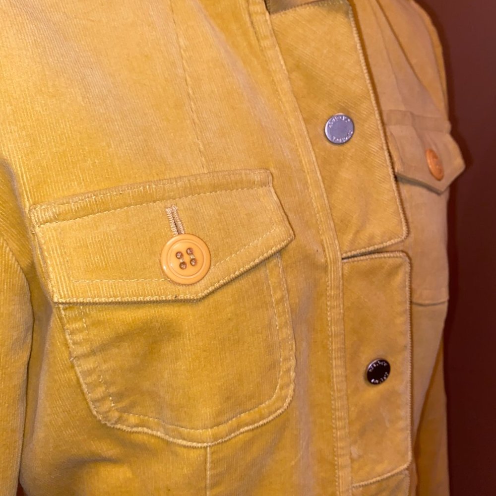 Yellow Jacket - Picture 4 of 4